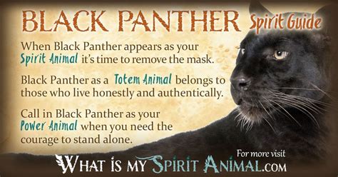 Black Panther as a Spiritual Guide in African Folklore