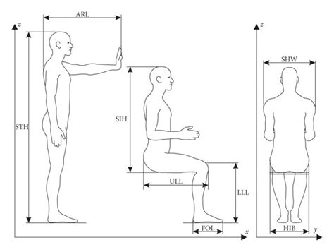 Body Measurements: The Physical Dimensions of Zanica Xxx Unveiled