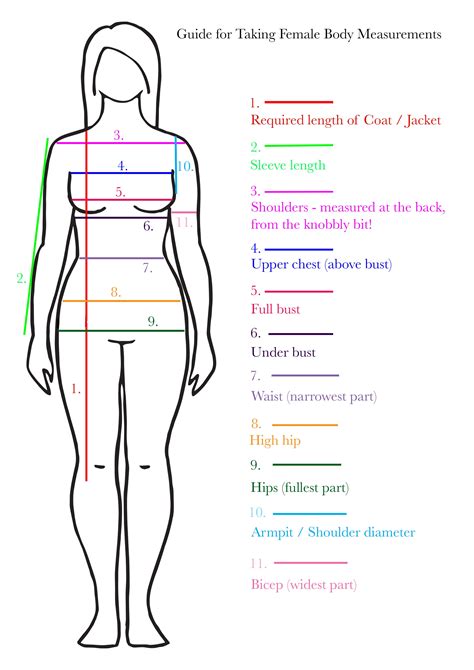 Body Measurements Breakdown