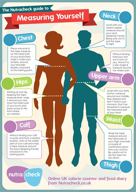 Body Measurements and Diet Tips