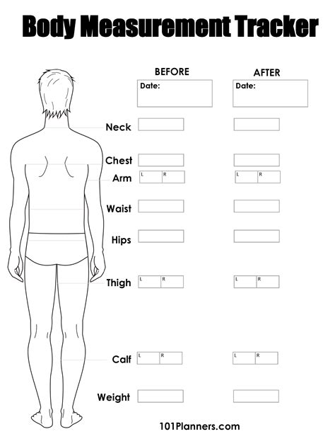 Body Measurements and Personal Fitness