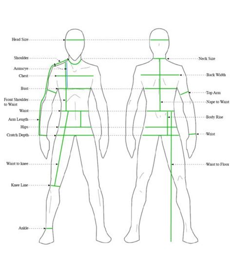 Body Measurements and Style Sense