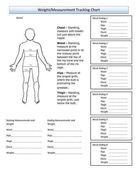 Body Statistics: Physical Appearance and Measurements of Hargitai Bea