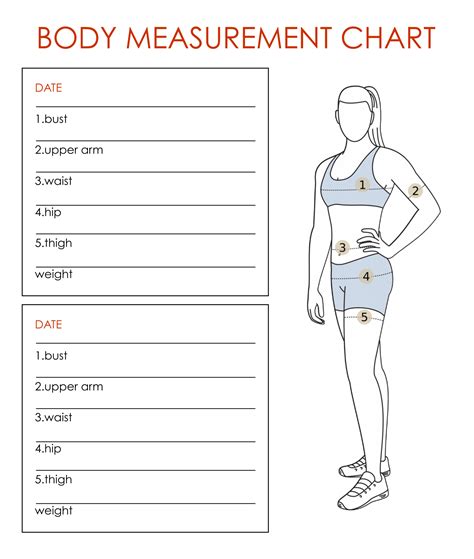 Body measurements and workout plan