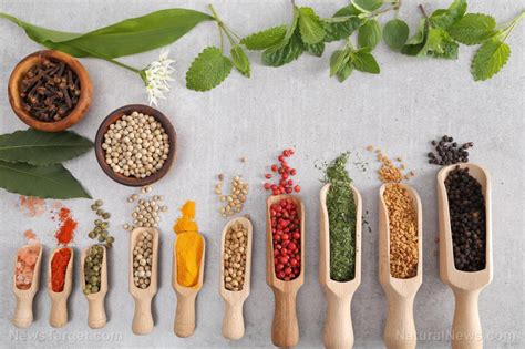 Boosting Flavor with Herbs and Spices