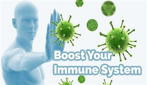 Boosts Immune System