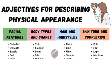 Breakdown of Evie's Physical Characteristics