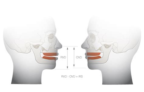 Breaking Down Sazondepuertorico's Figure