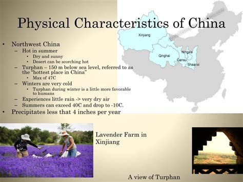 Breaking down the physical attributes of China Leigh