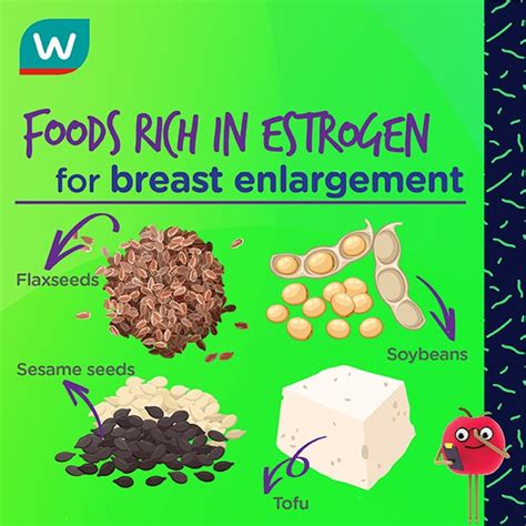 Breast-Friendly Foods and Nutritional Tips for Enhancing Growth