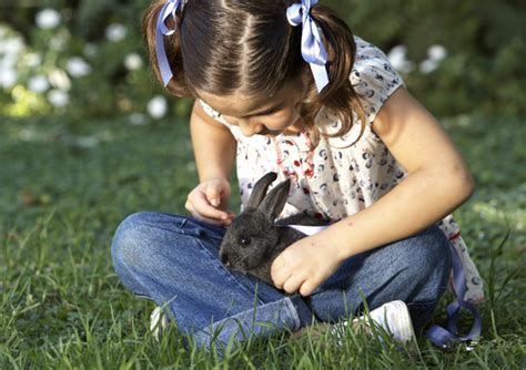 Bring Your Fantasy of Owning a Bunny into Reality