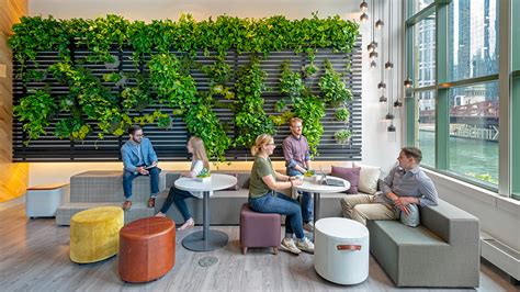 Bringing Nature Indoors: The Power of Greenery in the Workplace