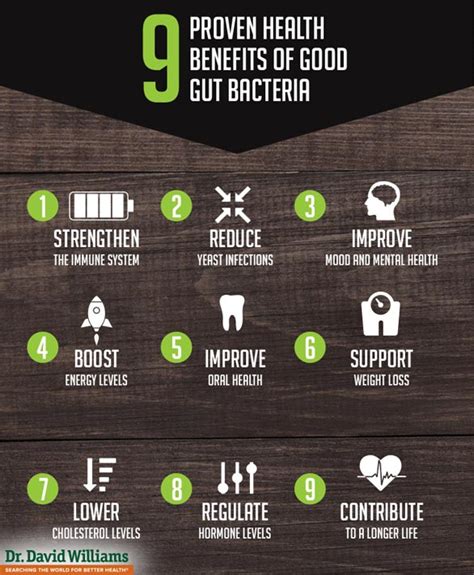 Broccolibutts Benefits for Gut Health