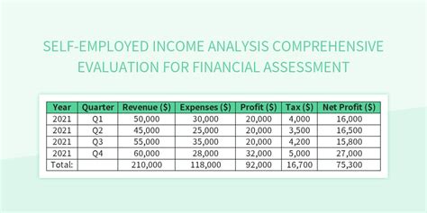 Brodi's Financial Evaluation and Income Assessment