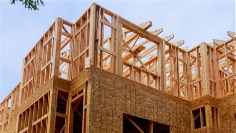 Budget-Friendly Options: Affordable Solutions for Cost-Effective Construction 