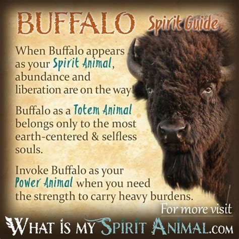 Buffalo-Related Festivals and Celebrations: Embracing the Spirit of the Great Bison