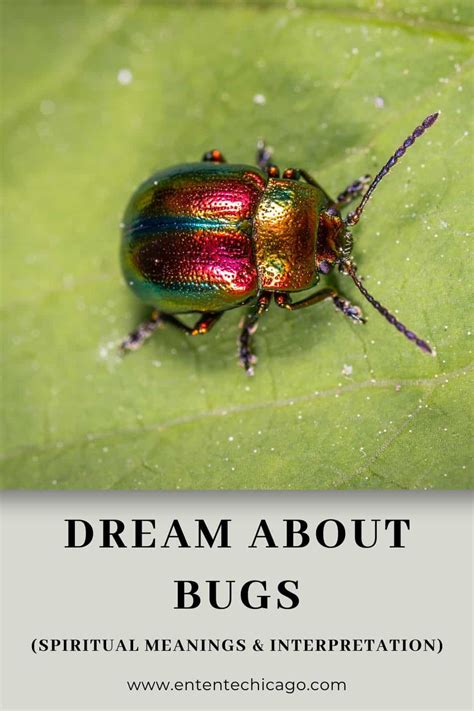 Bug Dreams: Are They Omens or Messages from the Subconscious Mind?