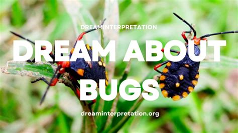 Bug-related Dream Scenarios and Their Potential Meanings