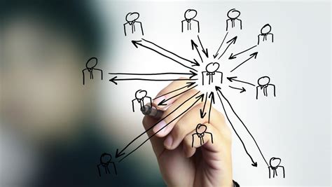 Build strong connections and expand your network within the organization