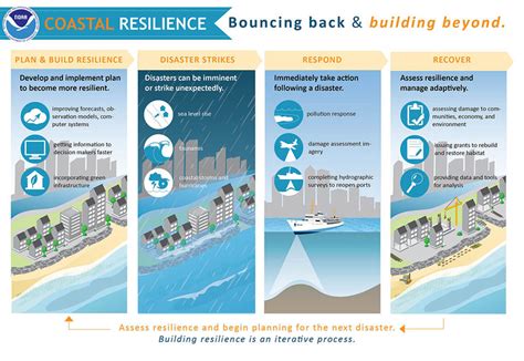 Building Resilience: Strategies for Weathering a Tsunami