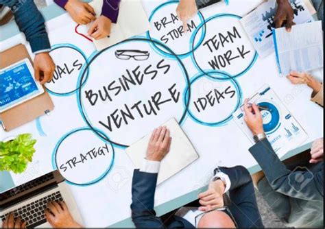 Business Ventures and Investments Overview