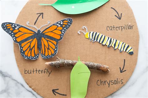 Butterfly's Early Life and Childhood