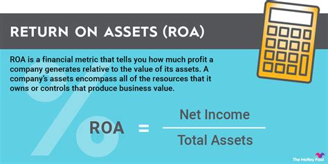 Calculating Maje Vixen's Total Assets and Income