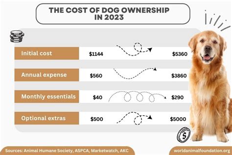 Calculating the Expenses Associated with Pet Ownership