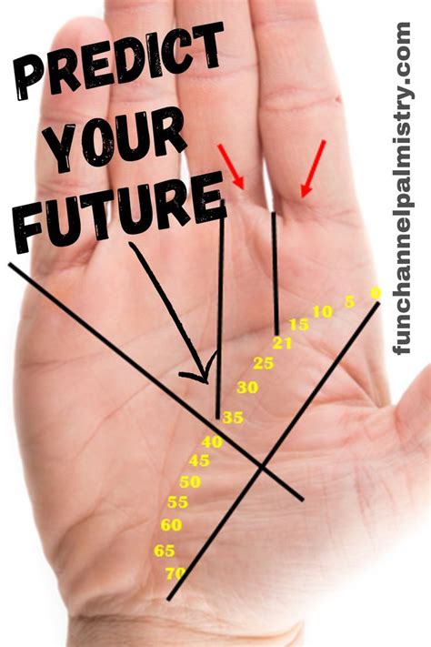 Can Palmistry Truly Forecast Your Destiny?