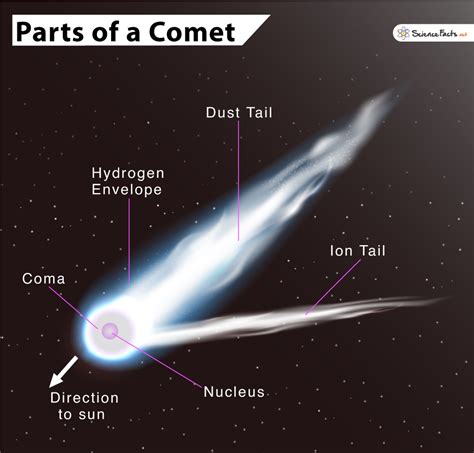 Candy Comet's Height: All the Details