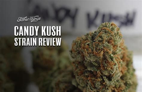 Candy Kush's Legacy: What Lies Ahead