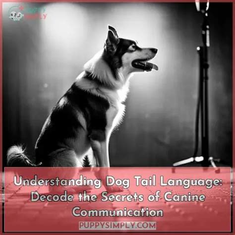 Canine Communication: Decoding the Language of Canine Dreams