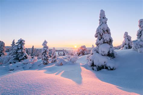 Capturing the Beauty: Tips for Photographing Winter Landscapes and Nature