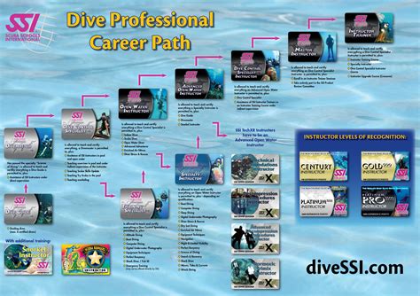 Career Path of a Diver