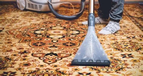 Carpet Cleaning Fantasies: Exploring the Intriguing Realm of Cleansing Rugs