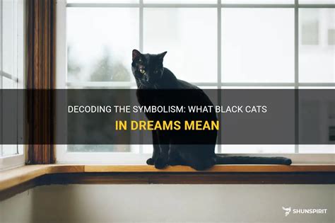 Cat Dreams: Decoding the Symbolism