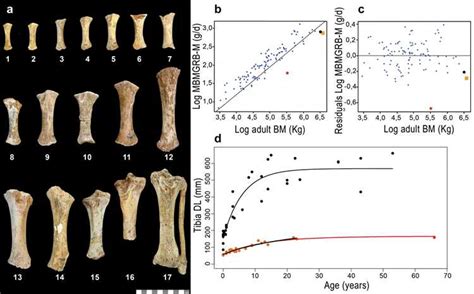 Cat Roe's Height and Body Measurements