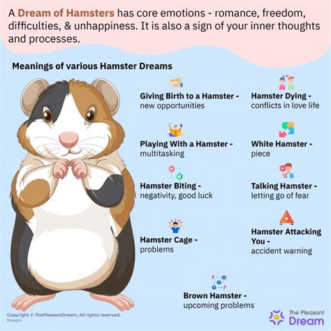 Cat and Hamster Dreams: Revelations into Our Inner Desires and Anxieties