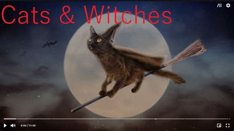 Cats and Witchcraft: The Supernatural Connection