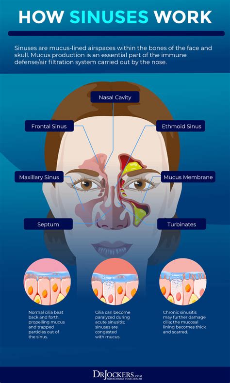 Causes and Triggers of Nasal Congestion