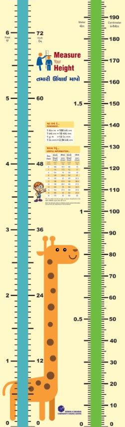 Cece's Vertical Measurement: Is She High in Stature?