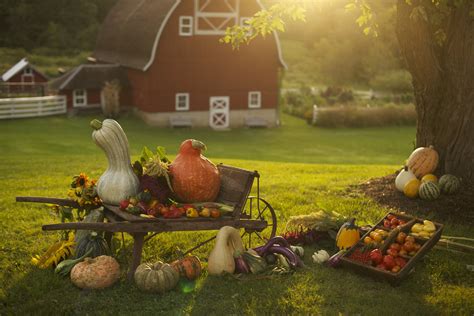 Celebrating the Splendor of Autumn: Festivals and Harvests