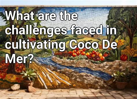 Challenges Faced by Coco Terra