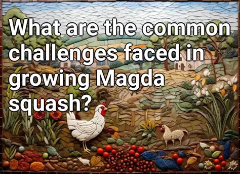 Challenges Faced by Magda Emm