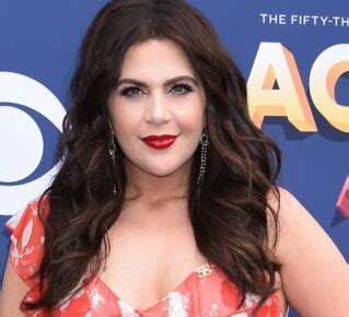 Challenges Faced in Hillary Scott's Career