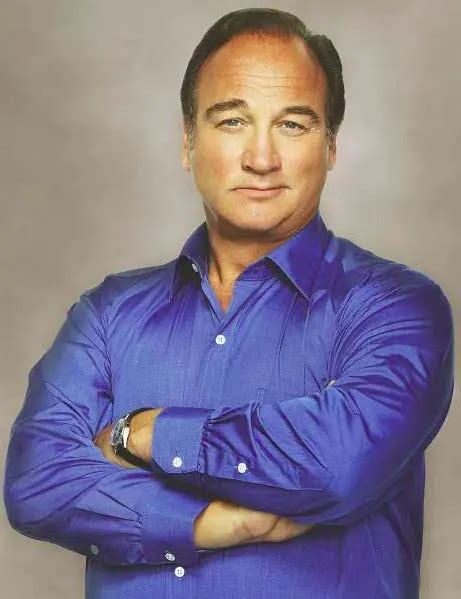 Challenges and Setbacks in James Belushi's Career