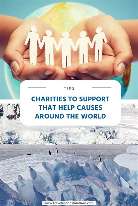 Charity Involvement and Support Causes