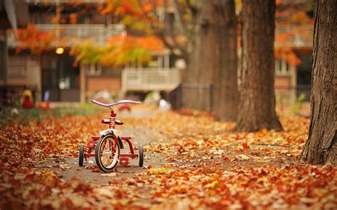 Childhood and Background