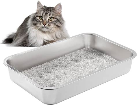 Choosing the Ideal Kitty Bathroom: Finding the Right Litter Solution for Your Feline Friend