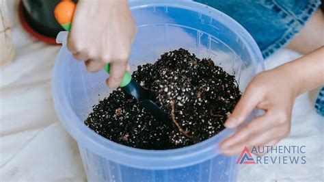 Choosing the Ideal Soil for Optimum Growth